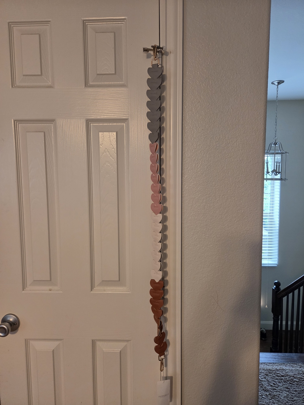 CLEARLY HANDBAGS /STRAP